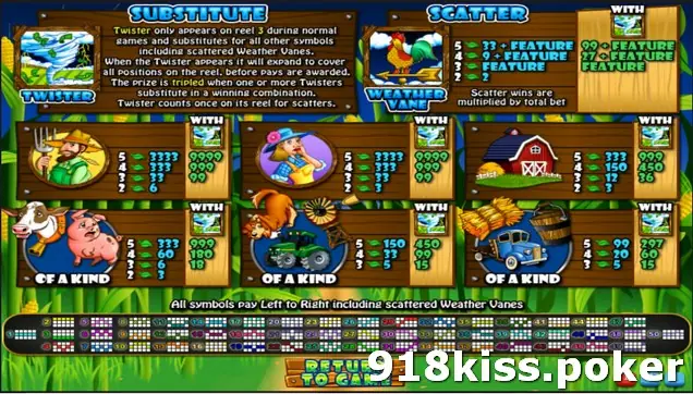 Triple Twister paytable with the Twister substitute rules, weather vane scatter prizes and symbol pay values for five, four, three and two of a kind