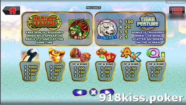 Double Fortune paytable showing the Dragon Feature and Tiger Feature boxes above the symbol payouts